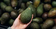Shoppers Urged to Follow '5 Day Rule' for Avocado Freshness