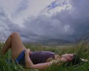 Should Charli XCX Fans Worry About Ticks in Long Grass?
