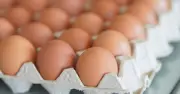 Should Eggs Be Stored in Fridge or Cupboard? Four Chefs Share Verdict