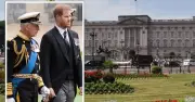 Should King Charles let Prince Harry stay at Buckingham Palace? Vote