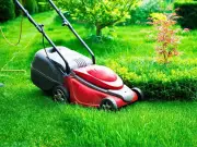 Simple 10-Second Task to Keep Lawn Green in July Heat