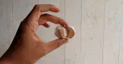 Simple Garlic Peeling Method Makes Skin 'Slide Off' in Minutes