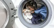 Simple washing machine habit banishes mould and grunge for free