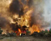Southern Europe Wildfires Force Evacuations: Share Your Experience