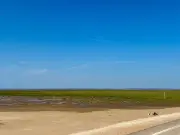 Southport Beach: Council Rejects Motion to Save Sand for Public Use