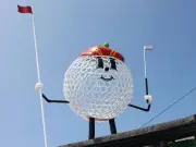 Southport crazy golf couple claim free game after 25 years