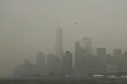 Spain vs Argentina World Cup Final Weather: Smoke, Storms, or Heat Delay?