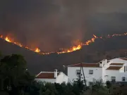 Spain Wildfire: 12 Dead, 23 Missing in Los Gallardos Inferno