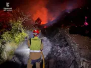 Spain Wildfire: 12 Dead Including Brits in Los Gallardos Inferno