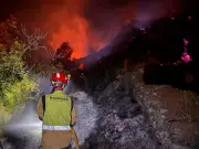 Spain Wildfire Kills 12, Bodies Found in Cars in Los Gallardos