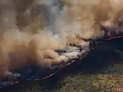 Spain Wildfires Force Mass Evacuations as 40C Heatwave Sparks National Emergency