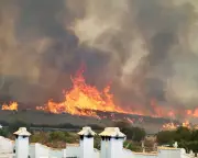 Spain Wildfires: 'Worst Possible Combination' Fuels Deadly Blaze