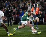 Springboks' Dominance Raises Questions About World Cup Three-Peat
