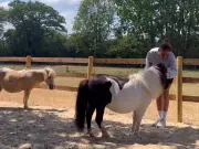 Stacey Solomon Reveals Heartbreaking Rescue Story of Her New Ponies