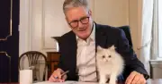 Starmer accused of using government cars for pet cat Prince