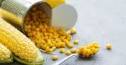 Stop Boiling Sweetcorn: 1-Minute Microwave Method Is Faster and Healthier