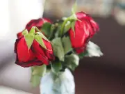Stop flowers from wilting in the heat with £1 revival tip