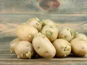 Stop Potato Sprouting for Months by Storing with an Apple