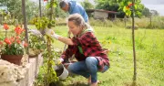 Stop Slugs Destroying Your Garden with Free Kitchen Scrap Added to Soil