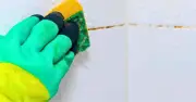 Stop Using Bleach: Baking Soda Whitens Grout in 10 Minutes