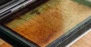 Stop Using Vinegar to Clean Oven Doors – Try Lemons Instead for Better Grease Removal