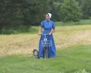 Suddenly Amish Review: Reality Show's Dubious Authenticity Criticized