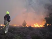 Suffolk wildfire forces holiday park evacuation as major incident declared
