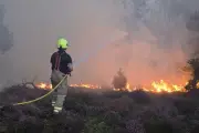 Suffolk wildfire grows to 150 hectares as PM pledges support