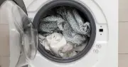 Sunlight Whitens White Clothes Naturally Without Bleach