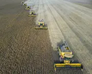 'Super' El Niño Could Cause Global Food Price Shock Lasting Until 2028