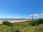 Swansea Councillor Calls for Beach Barbecue Restrictions