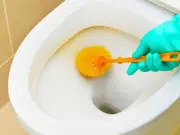 Swap Bleach for Hydrogen Peroxide or Vinegar for Cleaner Toilets
