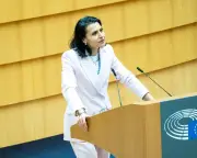 Swedish MEP Files Police Complaint Against Danish Colleague Over Racist Hate Speech