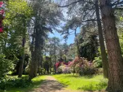 Tatton Park: 50-acre Cheshire garden with maze, Pooh trail for summer
