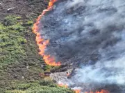 Teen 'absolutely terrified' as Wales wildfire came within feet of home