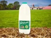 Tesco and FSA Issue Urgent 'Do Not Drink' Warning for Some Milk Bottles