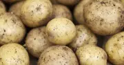 Tesco: Potatoes Last 6 Months Longer With Simple Storage Hack