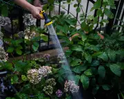 Thames Water hosepipe ban affects 10 million as UK nears drought
