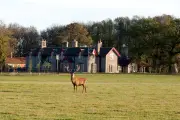 The Gunton Arms: Norfolk's Art-Filled Country Pub with Eccentric Charm