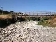 Thousands of Fish Die as Welsh River Dries Up Amid Heatwave