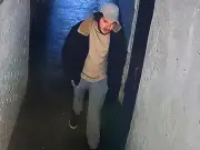 Three Arrested on Suspicion of Murder in Search for Missing Northumberland Man