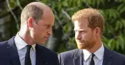 Three Words Suggest Prince William May Forgive Prince Harry: Expert
