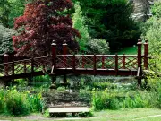 Three-Year-Old Boy Hospitalized After Bridgend Park Water Incident