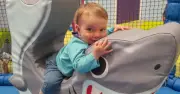 Toddler Dies in Sleep After Mild Cold: Strep A Found in Post-Mortem