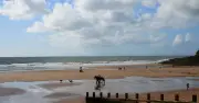Top 5 UK Dog-Friendly Beaches with No Summer Restrictions