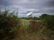 Top space scientists 'shocked and dismayed' over Jodrell Bank closure fears