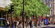 Tory MP Calls for Red Tape Cut to Plant More Trees on High Streets