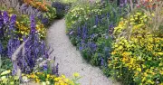 Transform Garden Paths with Stunning Edging Plants and Planting Ideas