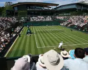 Trout Sushi and Coffee Kombucha: The Surprising Diets of Wimbledon Stars