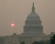 Trump Blames Canada for Wildfire Smoke Instead of Tackling Climate Crisis